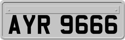 AYR9666