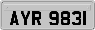 AYR9831
