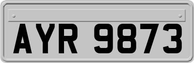 AYR9873