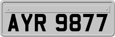 AYR9877