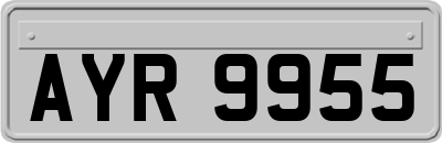 AYR9955