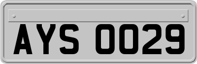 AYS0029