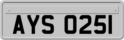AYS0251