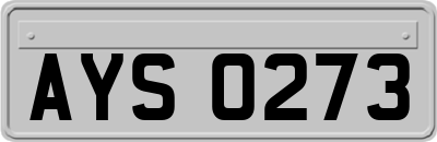 AYS0273