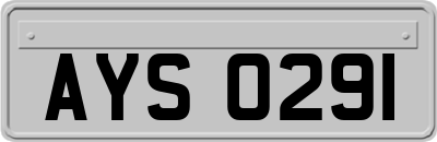 AYS0291