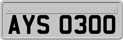 AYS0300