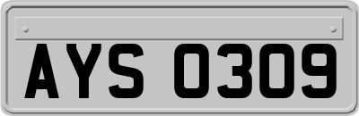 AYS0309