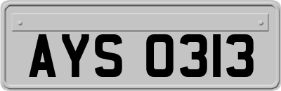 AYS0313