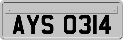 AYS0314