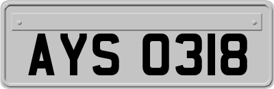 AYS0318