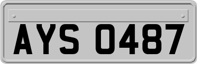 AYS0487