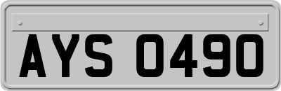 AYS0490