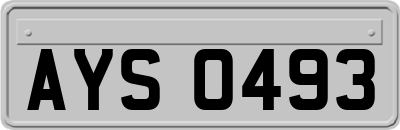AYS0493