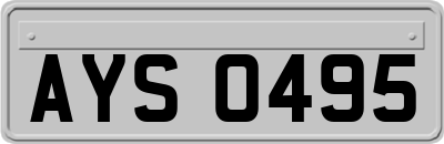 AYS0495