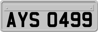 AYS0499