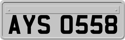 AYS0558