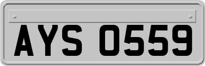 AYS0559