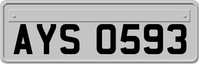 AYS0593