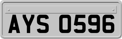 AYS0596