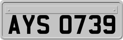 AYS0739