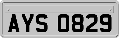 AYS0829