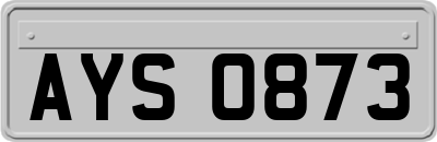 AYS0873