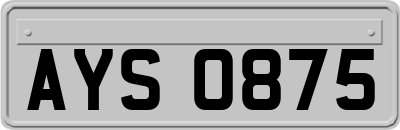 AYS0875