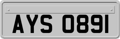 AYS0891