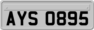 AYS0895