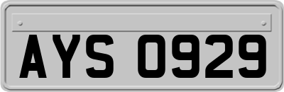 AYS0929