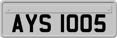 AYS1005