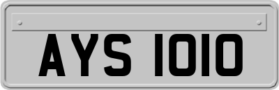 AYS1010