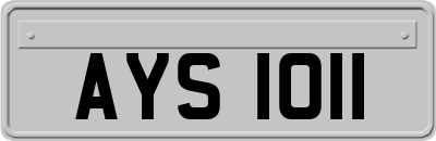 AYS1011