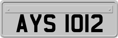 AYS1012