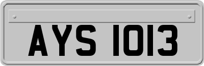 AYS1013