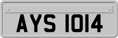 AYS1014