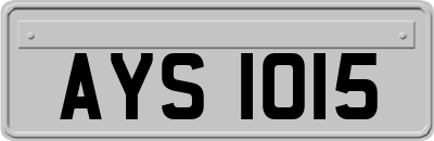 AYS1015