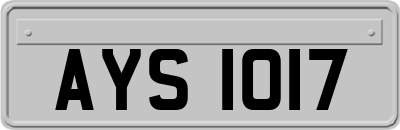AYS1017