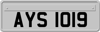 AYS1019