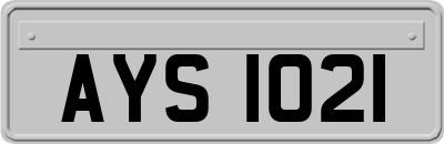 AYS1021