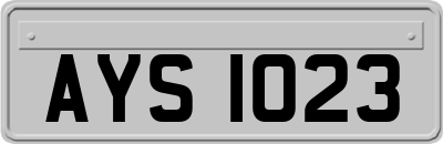 AYS1023