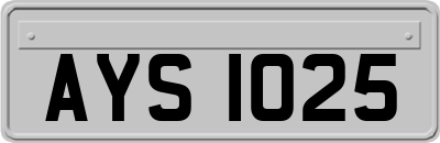 AYS1025