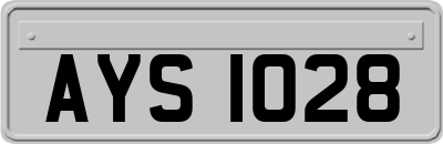 AYS1028