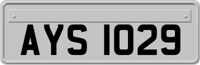 AYS1029