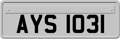 AYS1031
