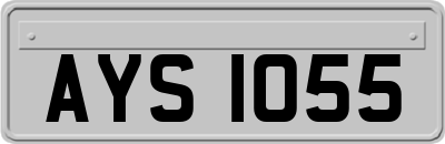 AYS1055
