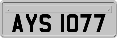 AYS1077