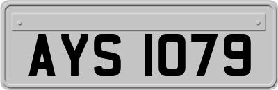 AYS1079