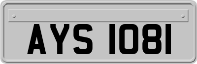 AYS1081
