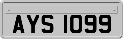 AYS1099